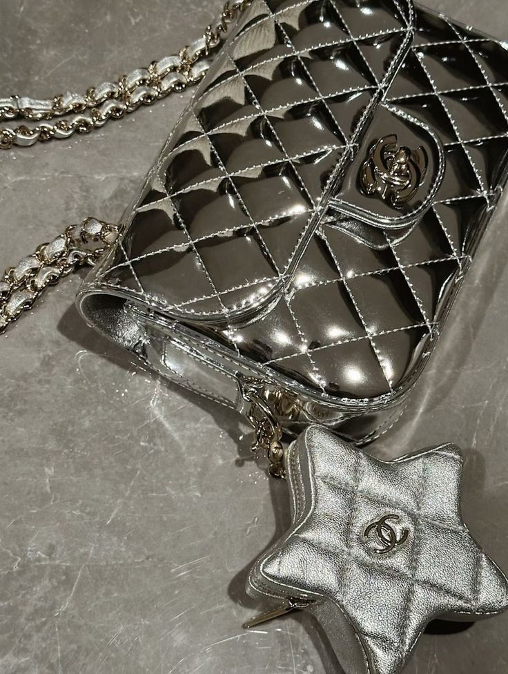 CHANEL Classic Quilted metalic Backpack/Bag with Coin Pouch